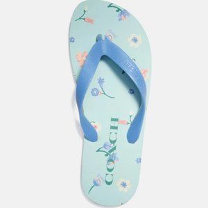 🩴 NWT Coach Zak Flip Flop - Blue Floral - Size 9